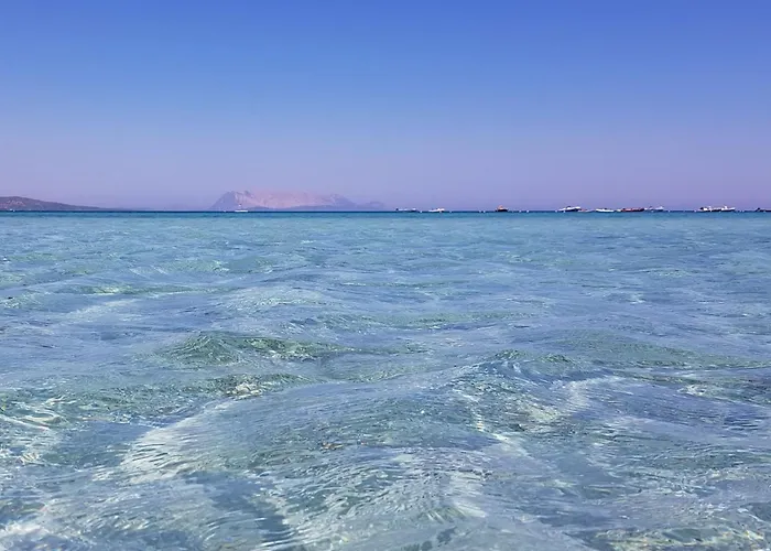 Abbardente By Interhome