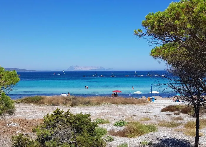 Abbardente By Interhome تانايونيلا