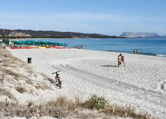 Abbardente By Interhome * تانايونيلا